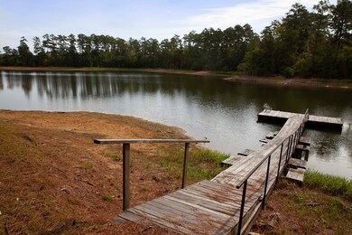 1120 Whitstone Rd, Lincolnton, GA 30817 - photo 5