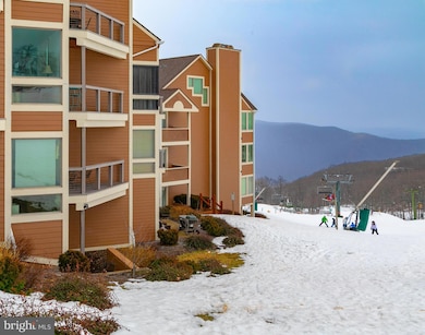 905 Diamond Hill, Wintergreen Resort, VA 22967 - photo 6