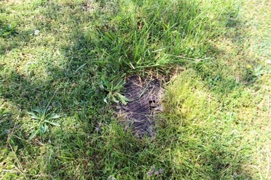 0 Maple Dr, Rock Island, TN 38581 - photo 5