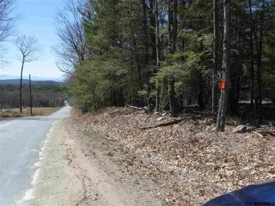 0 Gentile Rd unit 201820186, Stephentown, NY 12168 - photo 7