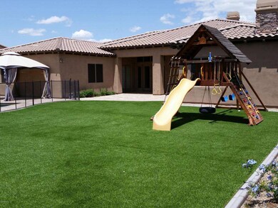 Backyard1