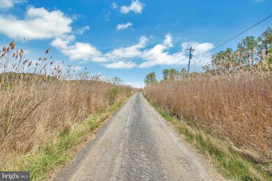 16441 Harms Way, Piney Point, MD 20674 - photo 4