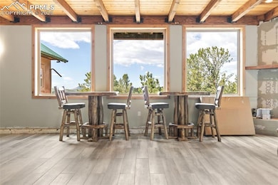 252 Running Elk Point, Divide, CO 80814 - photo 7