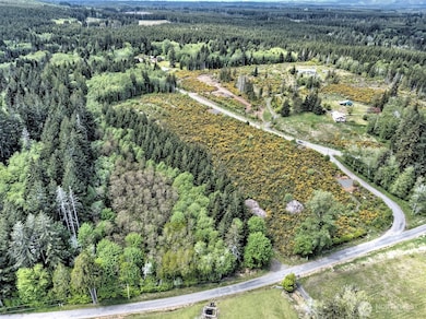 1121 W Highland Rd, Skok, WA 98584 - photo 3