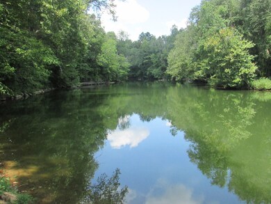 24 Hidden River Ln, Spencer, TN 38583 - photo 7