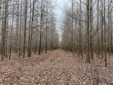 0 Bridges Ave unit 11609195, Glendora, MS 38928 - photo 4