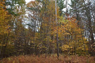 0 Bridle Rd unit 19, Antrim, NH 03440 - photo 7