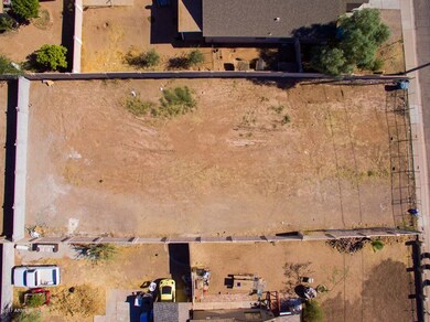 10-Palm Aerials