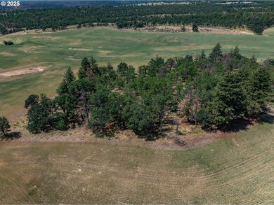 0 Friend Rd unit 375267035, Friend, OR 97021 - photo 7