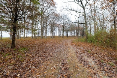 170 Decker Springs Rd, Elizabethtown, IL 62946 - photo 5