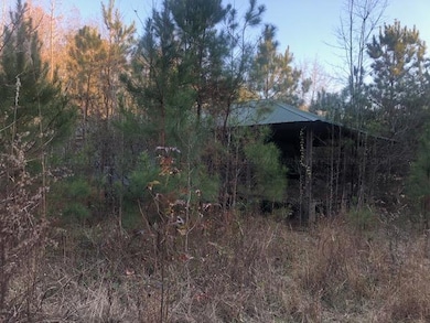 0 Tommy McGough Rd, Nauvoo, AL 35578 - photo 2