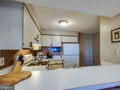 36011 Condo Dr unit A102, Rehoboth Beach, DE 19971 - photo 4