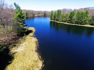 W14853 Hungry Lake Rd, Chetek, WI 54728 - photo 2