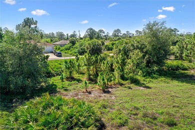 908 Mercury Ave S, Lehigh Acres, FL 33974 - photo 4