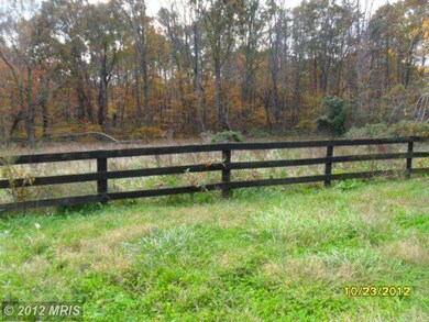 1266 Nelson Ln, Amissville, VA 20106 - photo 3