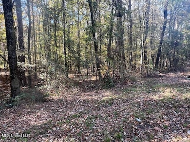 0 Pelahatchie Rd unit 4132538, Pelahatchie, MS 39145 - photo 2