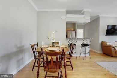 4550 Strutfield Ln unit 2211, Alexandria, VA 22311 - photo 6