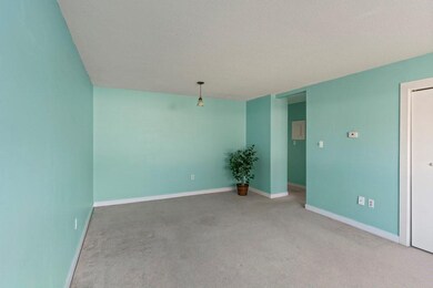 1088 James St unit 1088, Chicopee, MA 01022 - photo 6