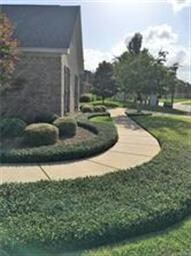 Luxurious landscaping!