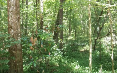 TBD Washington Ave Lot 8, Fort White, FL 32038 - photo 3