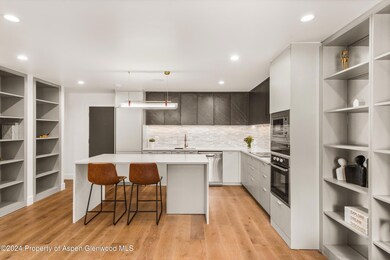 790 W Hallam St unit 2, Aspen, CO 81611 - photo 2