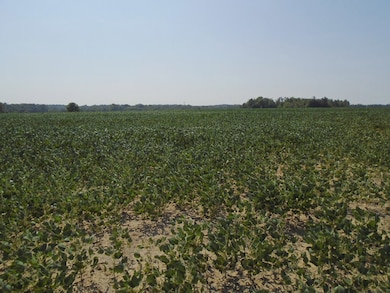 000 Estill Baker Rd, Hanson, KY 42413 - photo 3