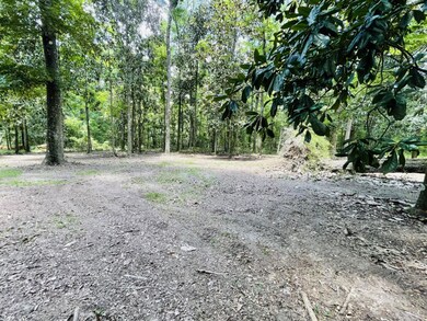 1169 Old Bumpy Rd, Capitola, FL 32317 - photo 2