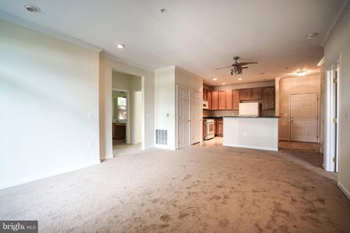 1301 Karen Blvd unit 402, Capitol Heights, MD 20743 - photo 7