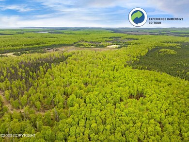 13964 W Little Jack Avenue, Wasilla AK