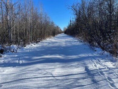 508 Cedar Valley Rd, Cedar Valley Township, MN 55736 - photo 3
