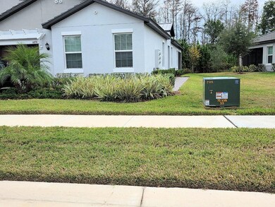 16890 Forge Surf St, Land O' Lakes, FL 34638 - photo 3