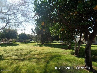 10849 W Cheryl Dr unit 117, Sun City, AZ 85351 - photo 6