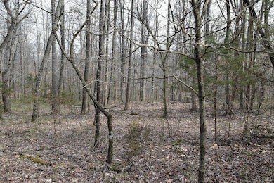 0 Castle Creek Ln, Roseland, VA 22967 - photo 5