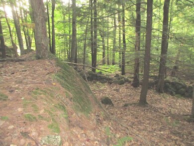 0 Route 114, Sutton, NH 03260 - photo 2