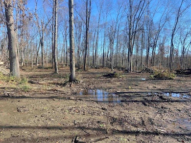 Tract 1 74th Place, Sandford, IN 47885 - photo 7