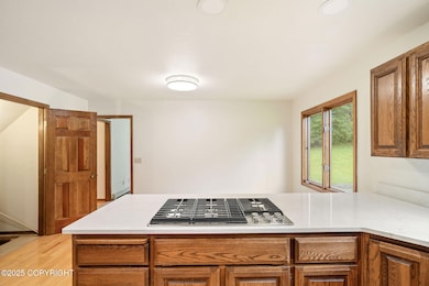 22410 Pharaoh Cir, Chugiak, AK 99567 - photo 4