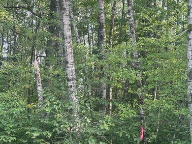 ON Schallock Rd, Crandon, WI 54520 - photo 4