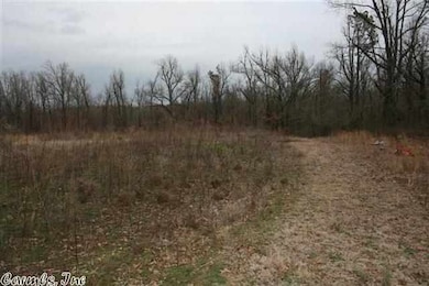 1193 Greene Road 731, Paragould, AR 72450 - photo 2