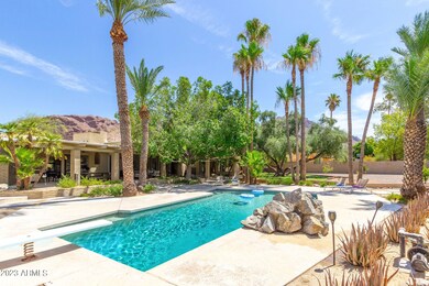 Finally a pool that is scale to the yard