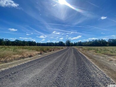 TBD William Nobles Rd unit Lot 3, Aynor, SC 29511 - photo 3