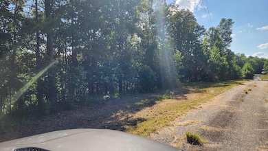 Lot 7 Oversprings Dr, Alexander, AR 72002 - photo 4