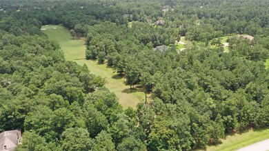 Lot is on the right and this is a view down fairway!
