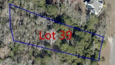 113 Sterling Dr, Sneads Ferry, NC 28460 - photo 5