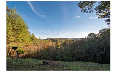 580 Moonshine Mountain Rd, Mineral Bluff, GA 30559 - photo 3