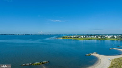 27059 Flipper Rd unit 687, Long Neck, DE 19966 - photo 4