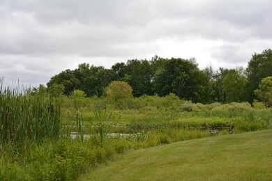 DSC_9941
