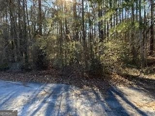 4195 Stephanie Cir SE, Conyers, GA 30013 - photo 3