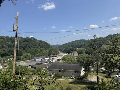 110 3rd Ave, Clendenin, WV 25045 - photo 4