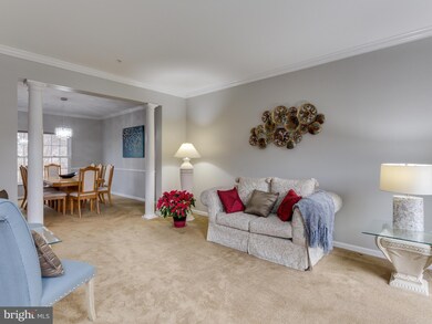 4406 Harbour Town Dr, Beltsville, MD 20705 - photo 5