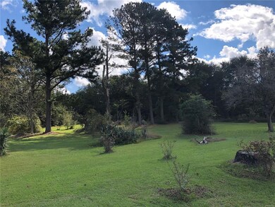 5549 County Road 2243, Glenwood, AL 36034 - photo 6